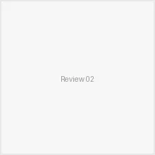 Customer review screenshot 2